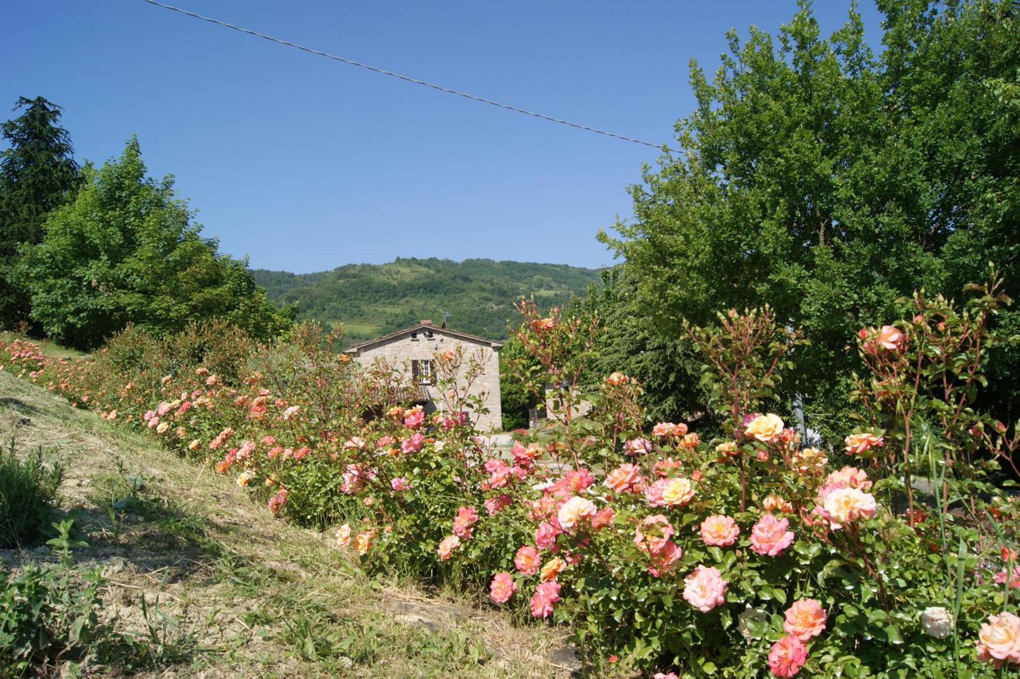 Agriturismo Corte Dei Mori Brisighella Exterior foto